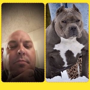 Meet your Posher, Gordon